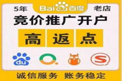 电商行业SEM运营的挑战与成功案例